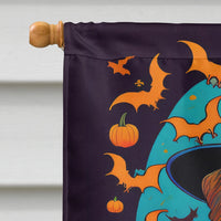 Welsh Terrier Witchy Halloween House Flag