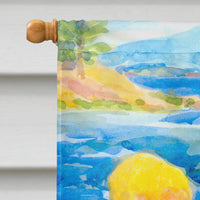 The Boys at the lake or beach  Flag Canvas House Size