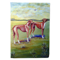 Azawakh Hound Flag Canvas House Size