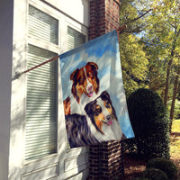 Australian Shepherd Double Trouble Flag Canvas House Size