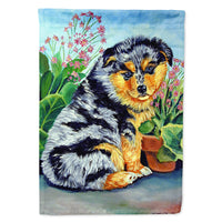 Australian Shepherd Puppy Flag Canvas House Size