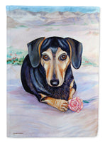 Black and Cream Dachshund Flag Garden Size