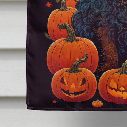 Boykin Spaniel Witchy Halloween House Flag