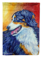 Australian Shepherd Flag Canvas House Size