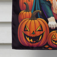 Saint Bernard Witchy Halloween House Flag