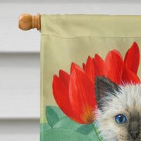 Birman Kittens Flag Canvas House Size ASA2125CHF