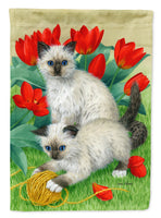 Birman Kittens Flag Canvas House Size ASA2125CHF