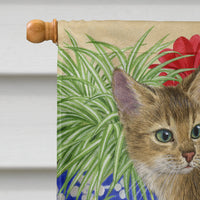 Abyssinian Kitten Flag Canvas House Size ASA2164CHF