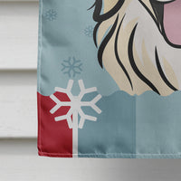 Winter Holiday Golden Retriever Flag Canvas House Size BB1701CHF