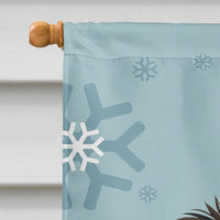 Winter Holiday Border Collie Flag Canvas House Size BB1737CHF