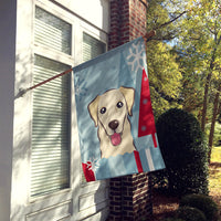 Winter Holiday Golden Retriever Flag Canvas House Size BB1748CHF