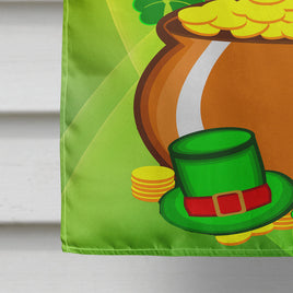 Boxer St. Patrick's Day Flag Canvas House Size BB1967CHF