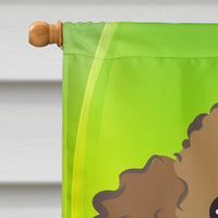 Chocolate Brown Poodle St. Patrick's Day Flag Canvas House Size BB2000CHF