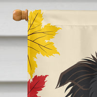 Border Collie Thanksgiving Flag Canvas House Size BB2047CHF