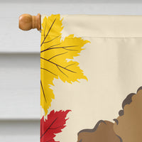 Chocolate Brown Poodle Thanksgiving Flag Canvas House Size BB2062CHF