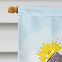 Weimaraner Summer Beach Flag Canvas House Size BB2099CHF