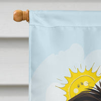 Border Collie Summer Beach Flag Canvas House Size BB2109CHF