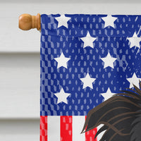 God Bless American Flag with Border Collie Flag Canvas House Size BB2171CHF