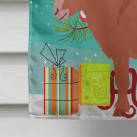 Irish Donkey Christmas Flag Canvas House Size BB9215CHF