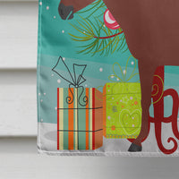 Hinny Horse Donkey Christmas Flag Canvas House Size BB9217CHF