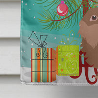 Lionhead Rabbit Christmas Flag Canvas House Size BB9327CHF