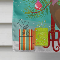 Bourbon Red Turkey Hen Christmas Flag Canvas House Size BB9349CHF