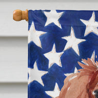 Blenheim Cavalier Spaniel Patriotic Flag Canvas House Size BB9358CHF