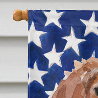 Brittany Spaniel Patriotic Flag Canvas House Size BB9364CHF