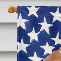 Beagle Patriotic Flag Canvas House Size BB9369CHF