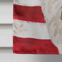 Border Collie Patriotic Flag Canvas House Size BB9373CHF