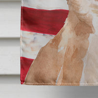 Chihuahua Patriotic Flag Canvas House Size BB9376CHF