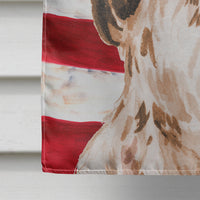 Brown Parti Patriotic Flag Canvas House Size BB9377CHF