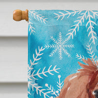 Blenheim Cavalier Spaniel Winter Flag Canvas House Size BB9428CHF