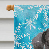 Black Labrador Winter Flag Canvas House Size BB9433CHF