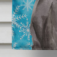 Black Labrador Winter Flag Canvas House Size BB9433CHF