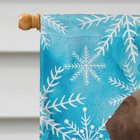 Chocolate Labrador Winter Flag Canvas House Size BB9435CHF