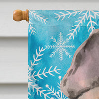 Fawn French Bulldog Winter Flag Canvas House Size BB9452CHF