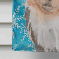 Long Haired Chihuahua Winter Flag Canvas House Size BB9459CHF