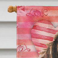 Brown Parti Love Flag Canvas House Size BB9482CHF