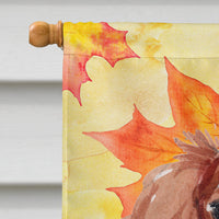 Blenheim Cavalier Spaniel Fall Flag Canvas House Size BB9498CHF