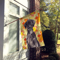 Black Labrador Fall Flag Canvas House Size BB9503CHF