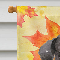 Black Labrador Fall Flag Canvas House Size BB9503CHF