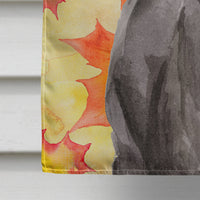 Black Labrador Fall Flag Canvas House Size BB9503CHF