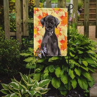 Black Labrador Fall Flag Garden Size BB9503GF