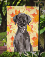 Black Labrador Fall Flag Garden Size BB9503GF