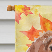 Brittany Spaniel Fall Flag Canvas House Size BB9504CHF