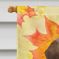 Chocolate Labrador Fall Flag Canvas House Size BB9505CHF