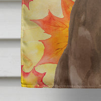 Chocolate Labrador Fall Flag Canvas House Size BB9505CHF