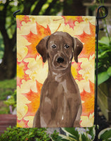 Chocolate Labrador Fall Flag Garden Size BB9505GF