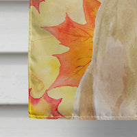 Yellow Labrador Fall Flag Canvas House Size BB9506CHF